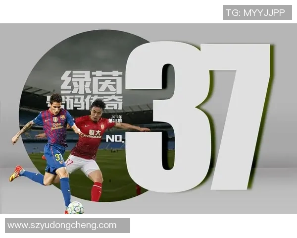 追寻绿茵场上闪耀足坛巨星奋斗与梦想成长故事